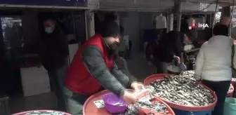 Balık bolluğu hem balıkçının hem vatandaşın yüzünü güldürdü