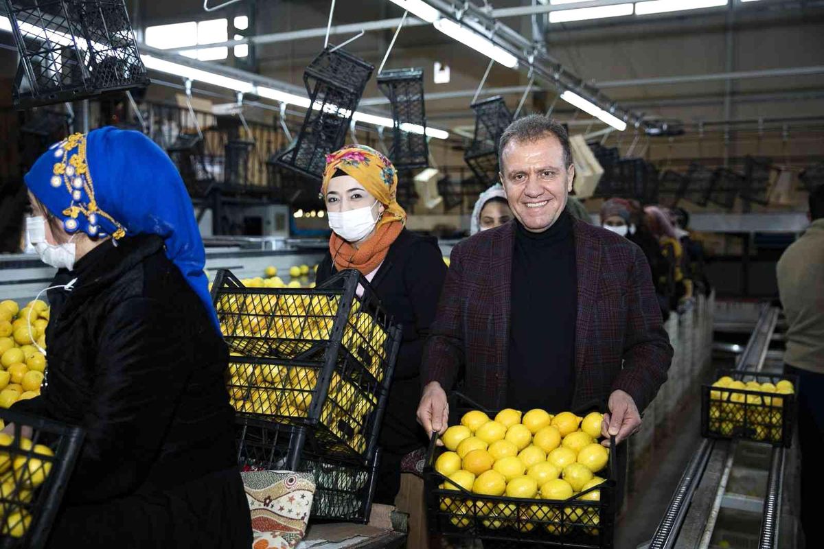 Başkan Seçer\'den belediye başkanlarına \'limon\' çağrısı