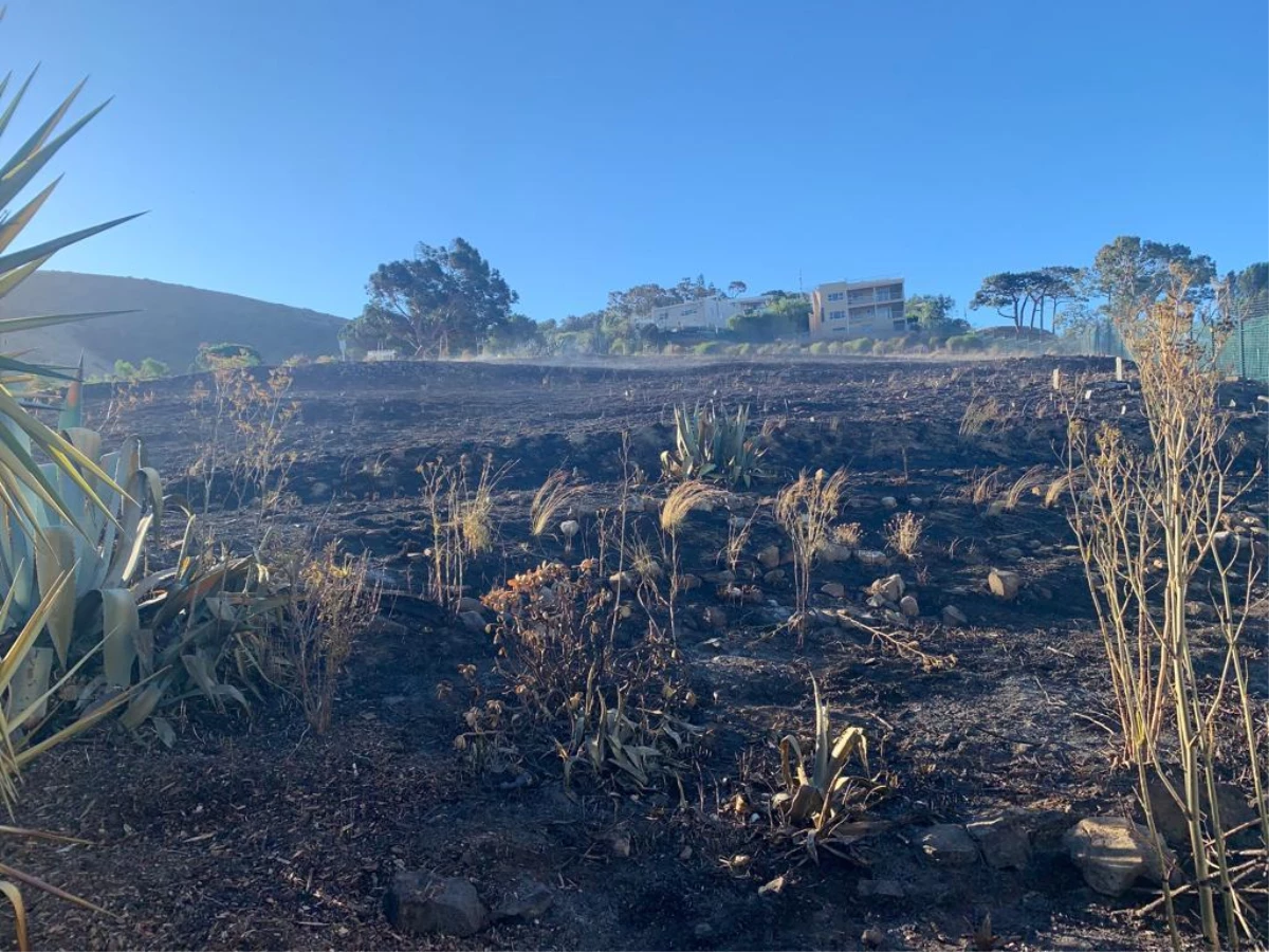 Son dakika haber! Cape Town Tana Baru mezarlığında yangın