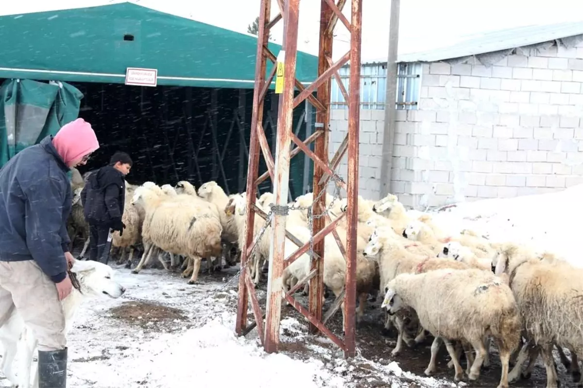 Çiftçinin imdadına Kocasinan Belediyesi yetişti