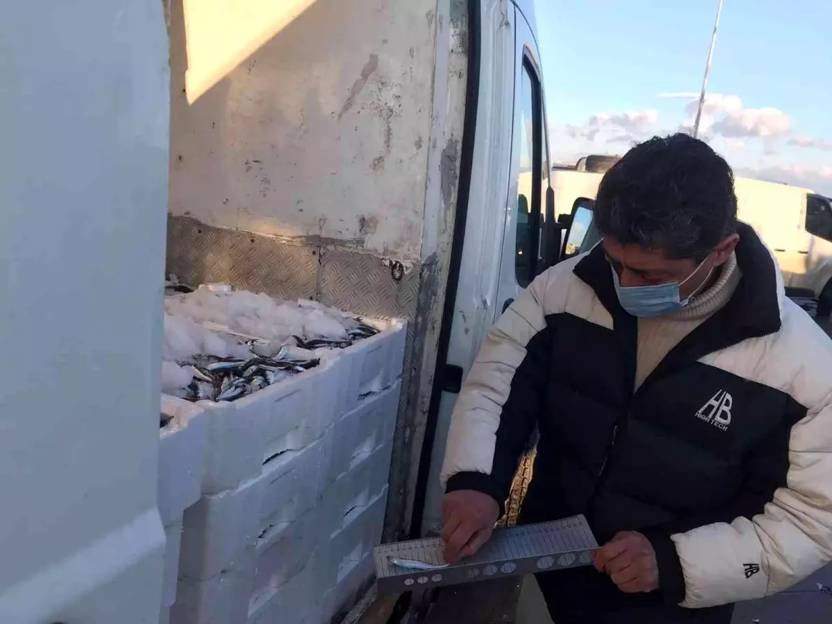 Didim\'de su ürünleri denetimi yapıldı