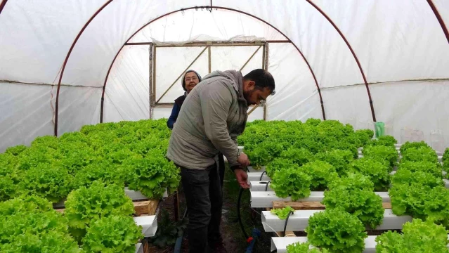 İstanbul'un kalabalığından kaçtı memleketinde topraksız tarıma başladı