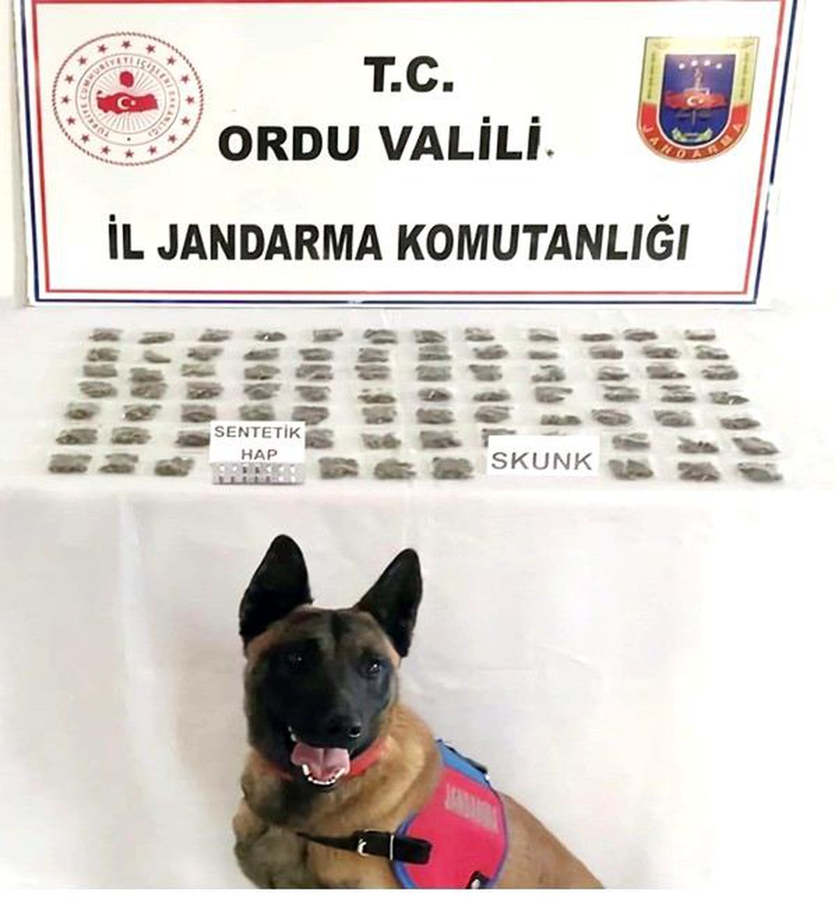 Ordu\'da 3 torbacı yakalandı