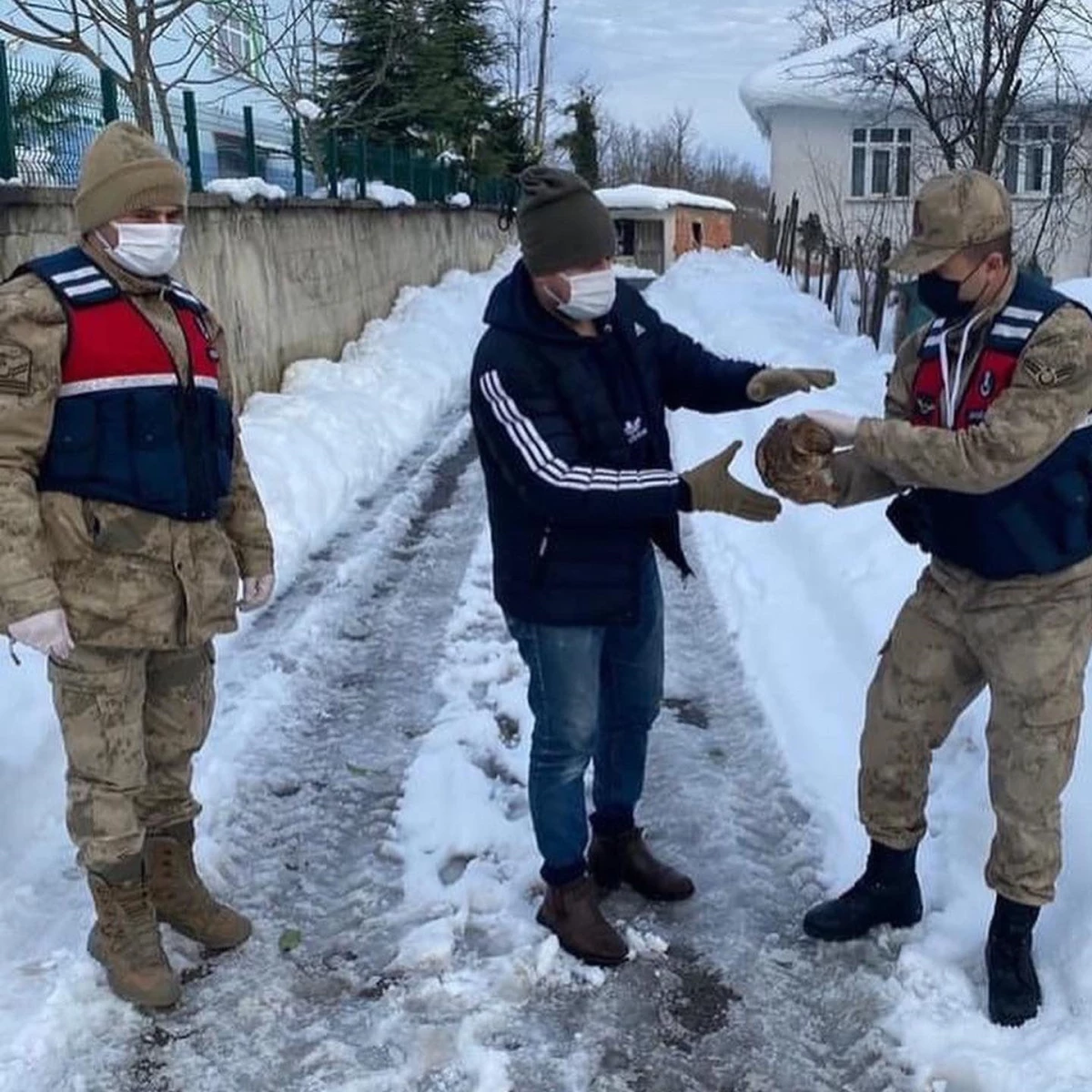 Ordu\'da yaralı halde bulunan şahin tedavi altına alındı