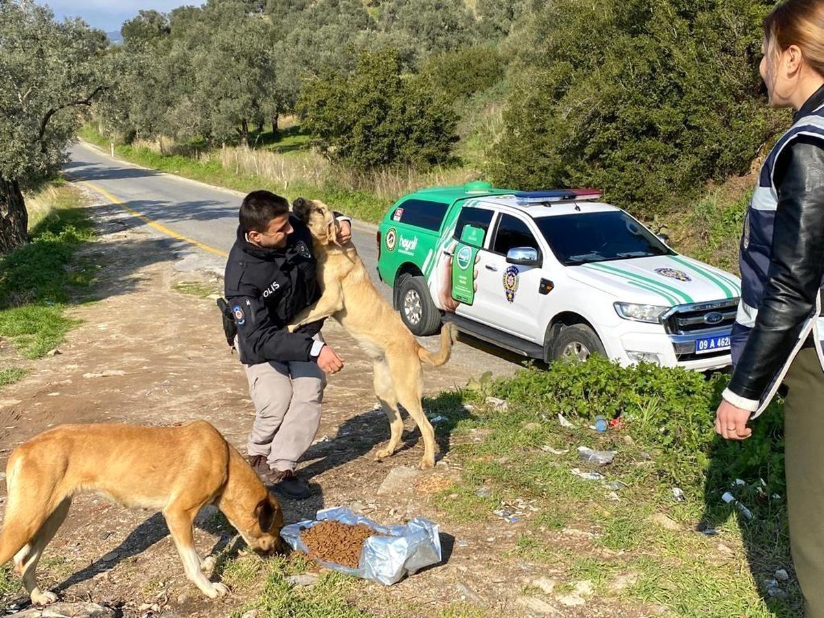 Son dakika haberi | Polis ekiplerinden sokak hayvanlarına mama desteği