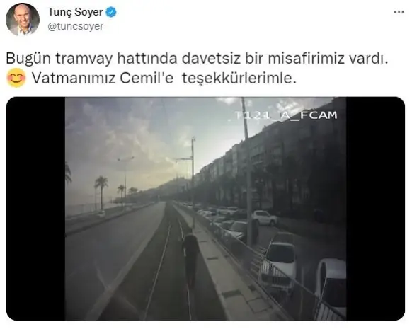 Tramvay rayında davetsiz misafir...Vatman tramvayı durdurdu, raylardaki martıya yardım etti