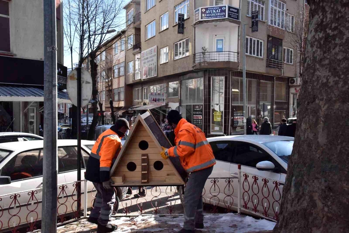 Bilecik\'te sokak hayvanları için yapılan yuvalar çeşitli yerlere yerleştirildi