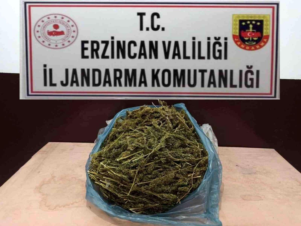 Erzincan\'da 2 kilo 848 gram kubar esrar ele geçirildi