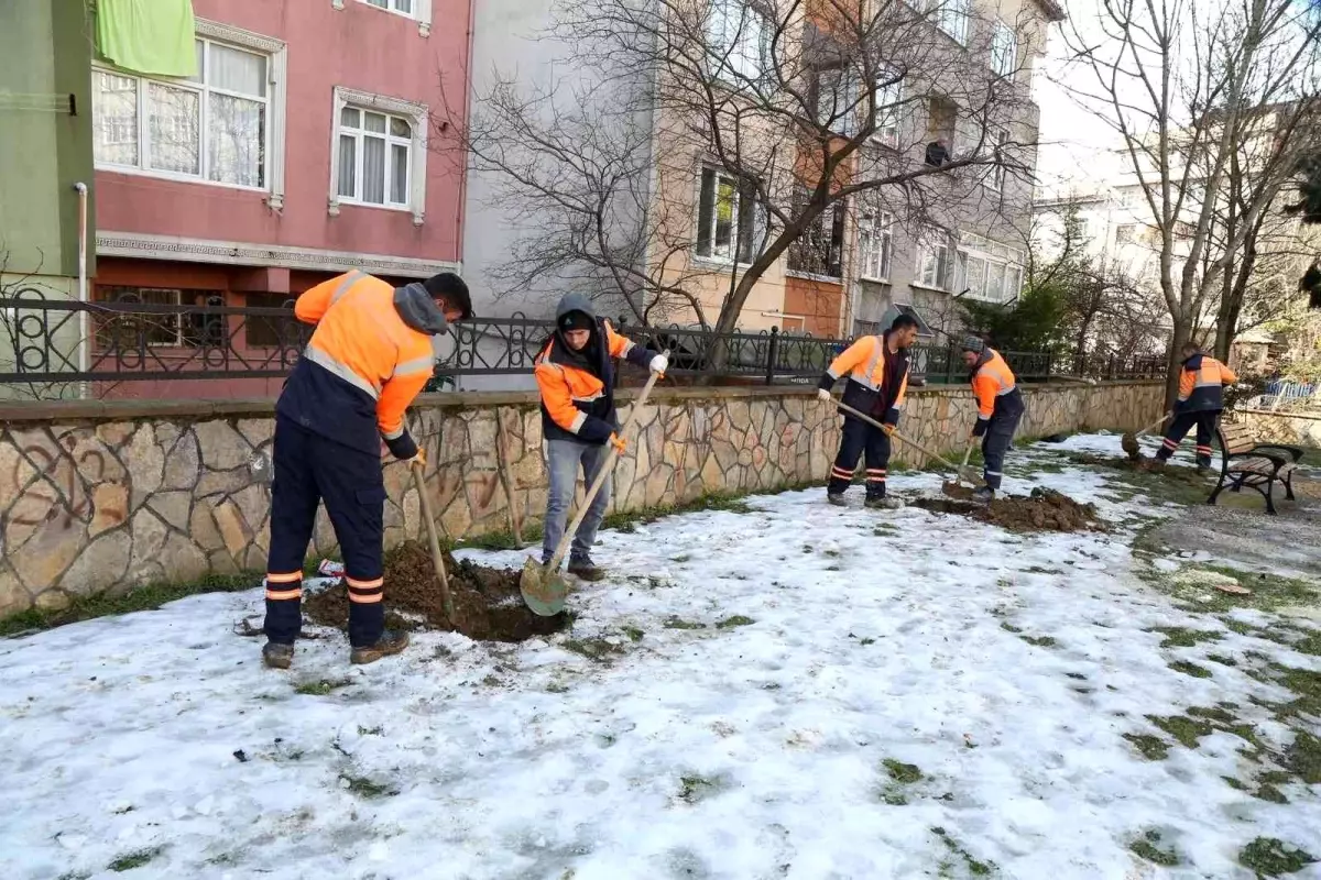 Eyüpsultan\'da ağaç dikimi devam ediyor