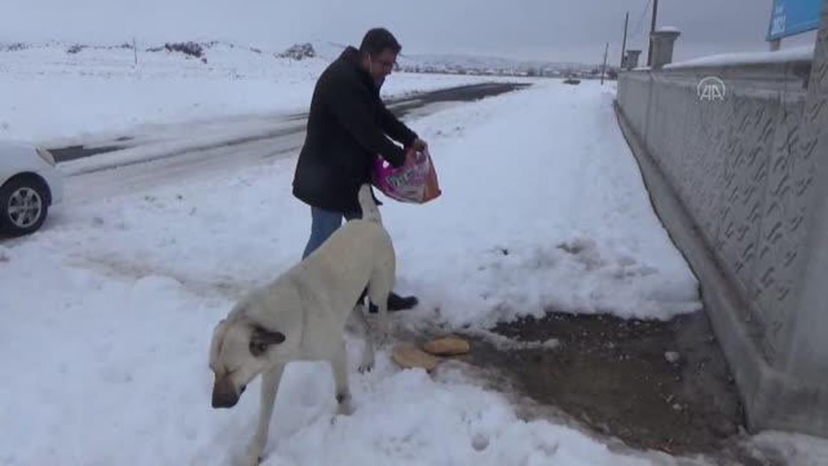 Karapınar Gençlik Merkezi Müdürlüğü faaliyetlerini sürdürüyor