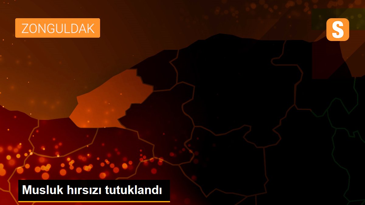 Musluk hırsızı tutuklandı