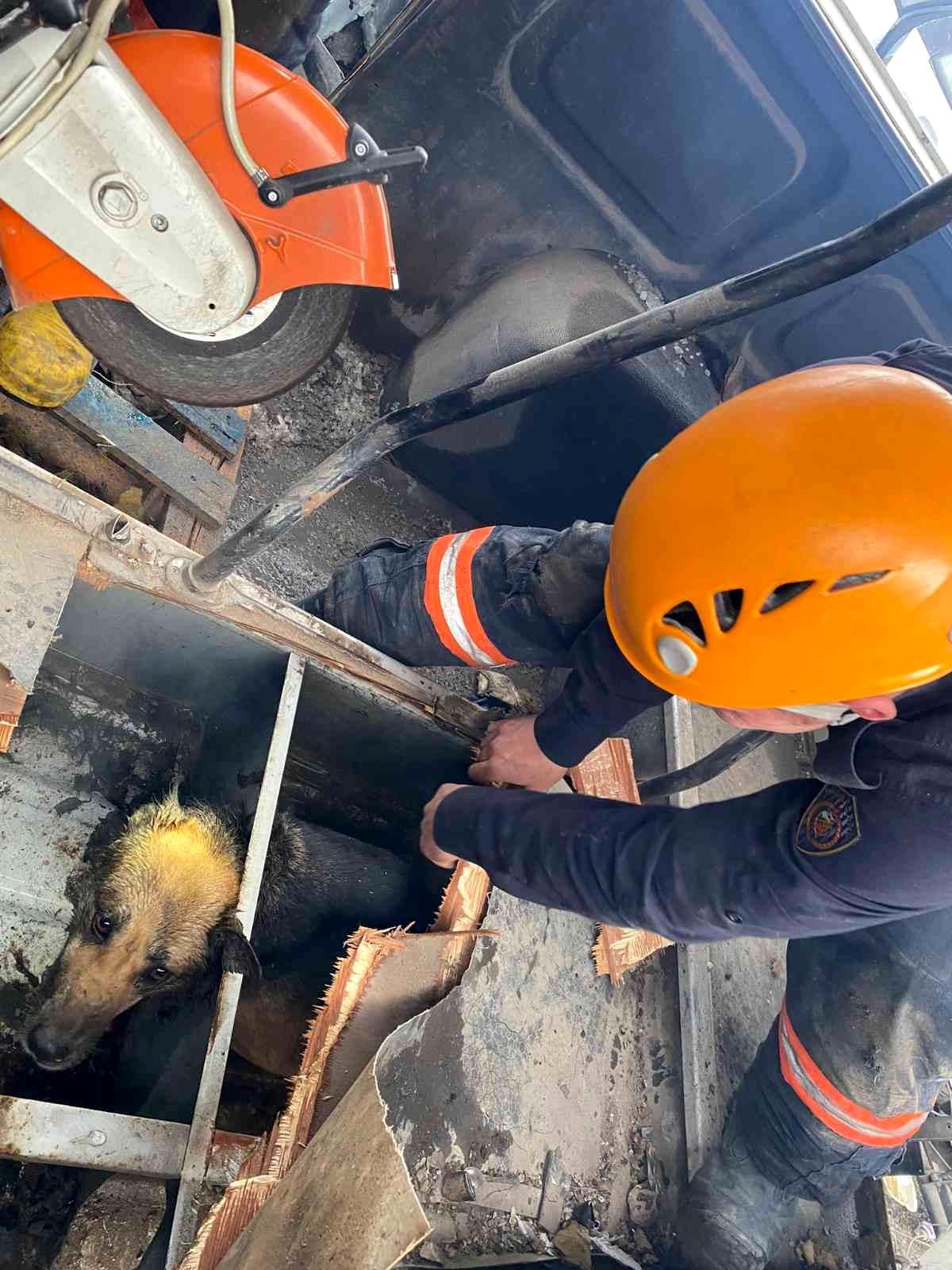 Son Dakika | Ankara İtfaiyesi bir günde iki canın yardımına koştu