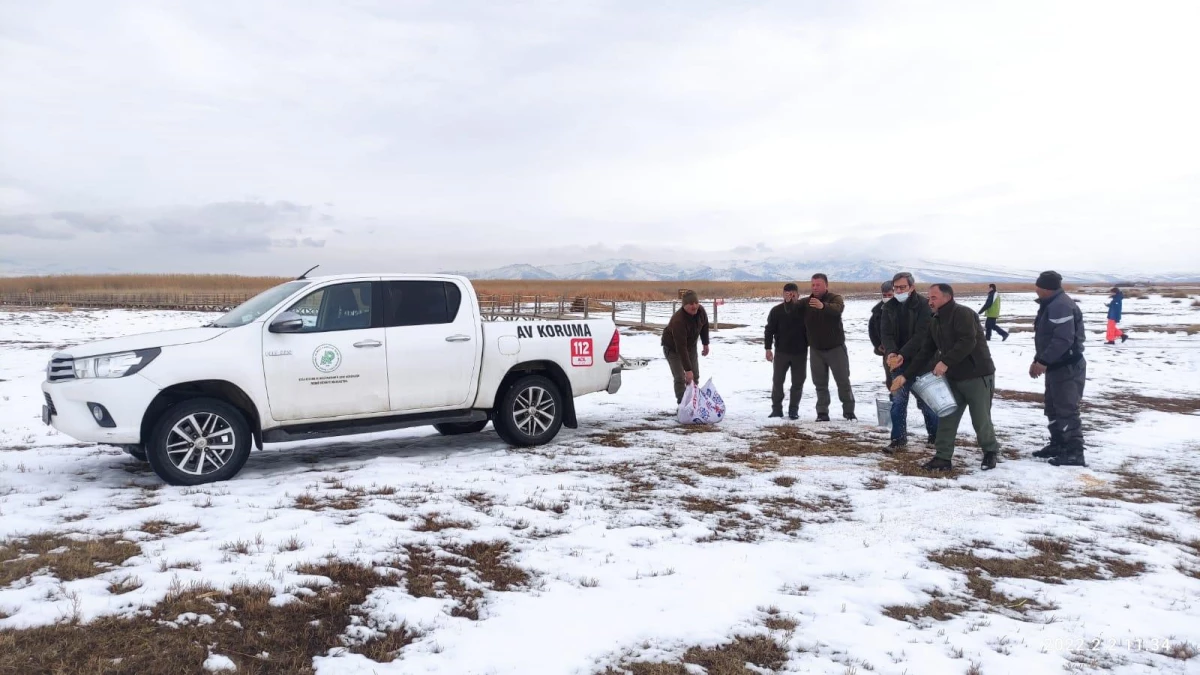 Kayseri\'de sulak alanlardaki kuşlara yem bırakıldı