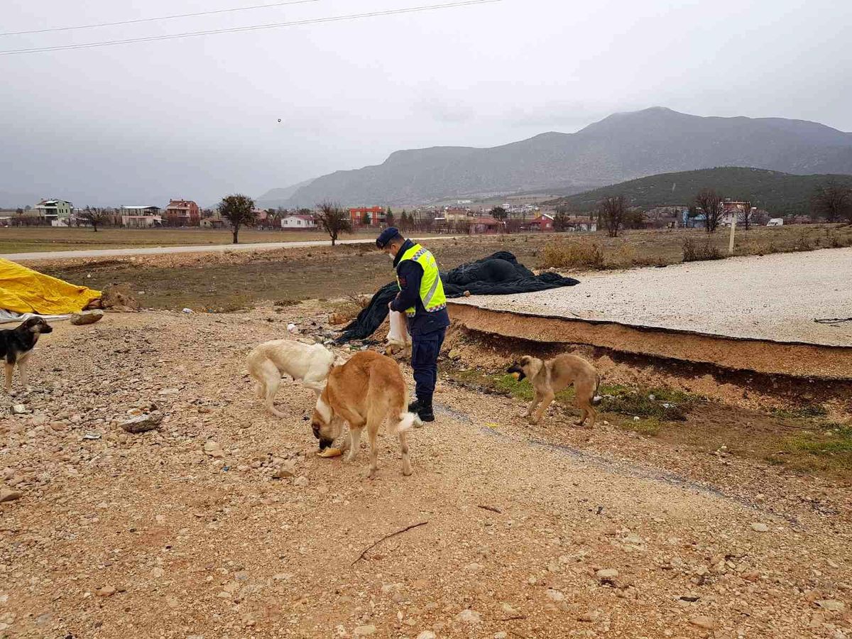 Son dakika! Kokuteli\'de jandarmadan anlamlı davranış