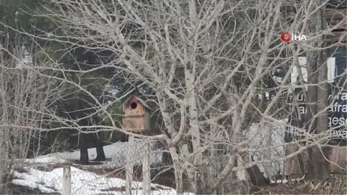 Kuşlar üşümesin diye atık malzemelerden yuvalar yapıyor