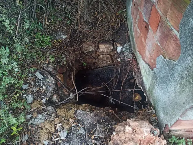 Muğla'da foseptik çukuruna düşen ineği itfaiye çıkardı