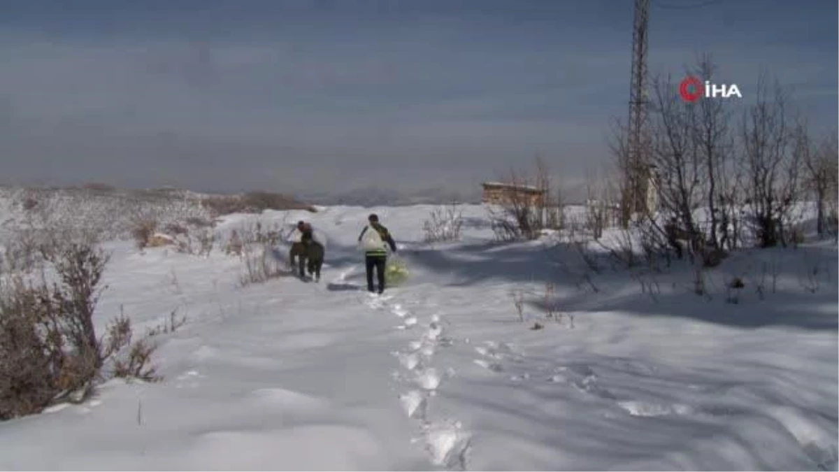 Siirt\'te karda yiyecek bulamayan yaban hayvanları için doğaya 350 kilo yem bırakıldı