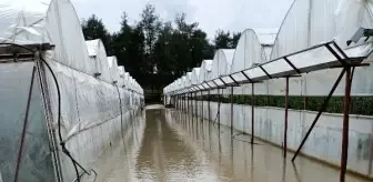 Antalya gece karanlığına büründü, denizde dev dalgalar oluştu (2)