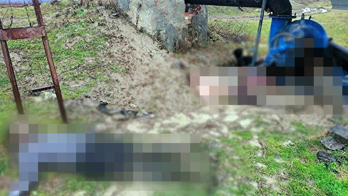 Birleşmiş Milletler: Yunanistan sınırında geri itilen 12 düzensiz göçmenin donarak ölmesinden dehşete düştük