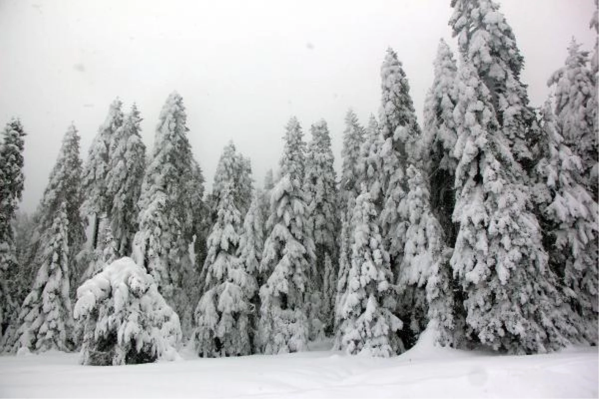 Bolu\'nun yüksek kesimlerinde kar yağışı