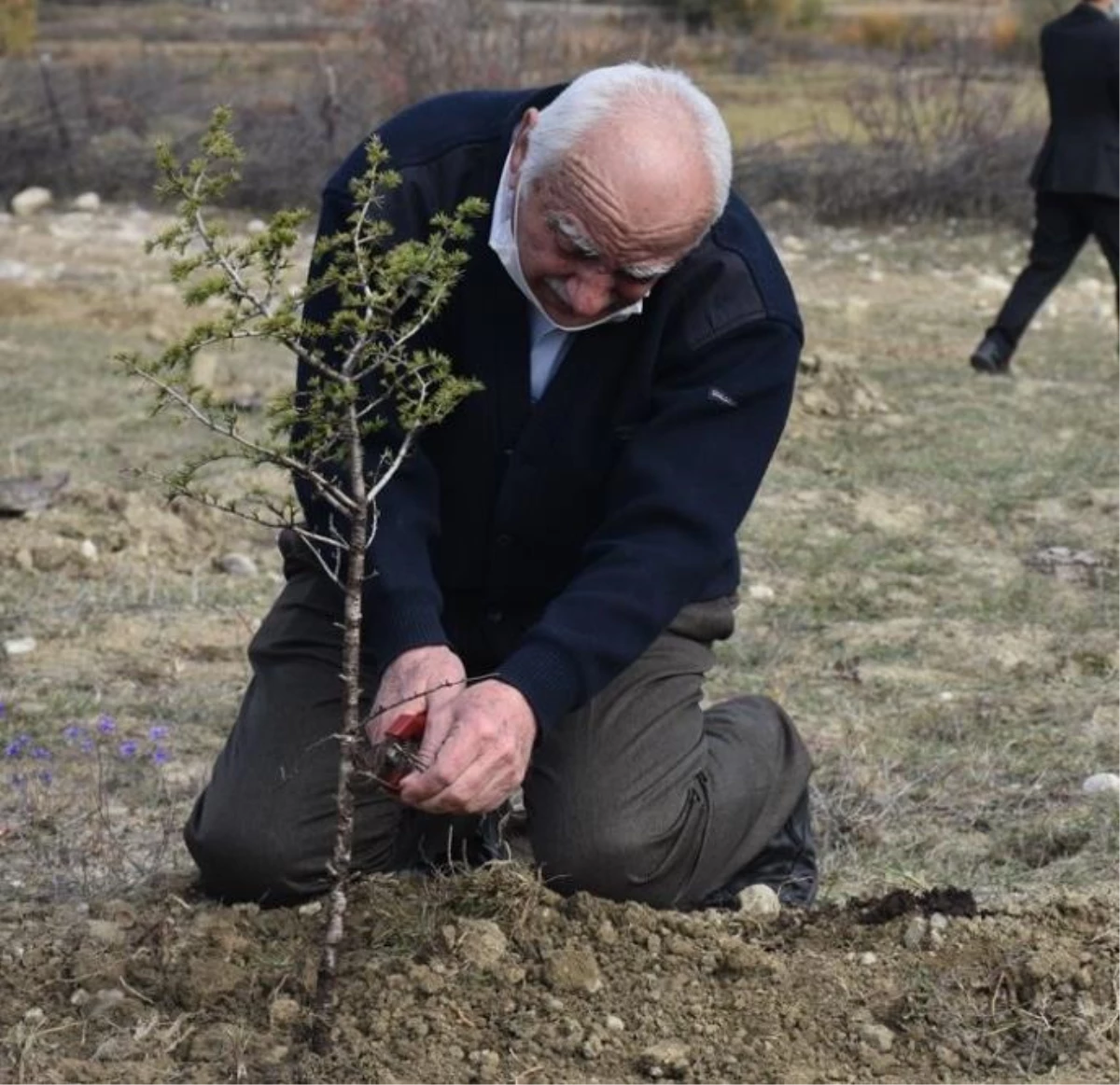 Emekli orman işletme şefi 25 yılda 30 milyon fidanı toprakla buluşturdu