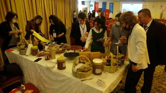 Hatay'da İstihdam Fuarı