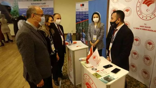 Hatay'da İstihdam Fuarı