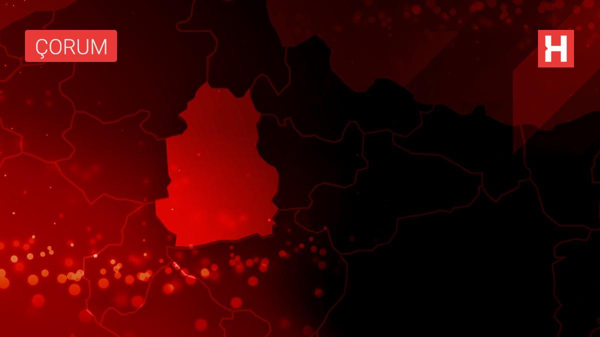 Kargı'da yaban hayvanları için doğaya yem ve ot bırakıldı