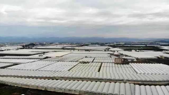 Mersin'i zirai don vurdu, seralarda ürün kalmadı