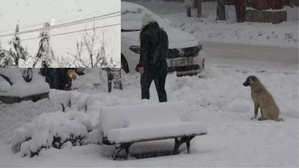 Isparta\'nın büyük bölümü 30 saattir elektriksiz! Kar elektrik kablolarını kopardı, belediye başkanı "sabır" dedi