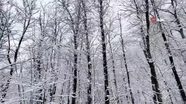 Kocaeli'nin yüksek kesimlere gece boyu kar yağdı... Doğa tutkunları kendilerini beyaz gelinliğini giyen ormanlara attı