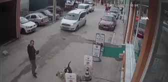 Pitbull cinsi köpeğini sokak köpeğine saldırttı... Önce özçekim yaptı, sonra sokak köpeğini tekmeleyerek ayırmaya çalıştı