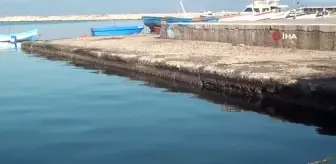 Bandırma'da 15 metre çekilen deniz, bir ay olmasına rağmen eski haline gelmedi