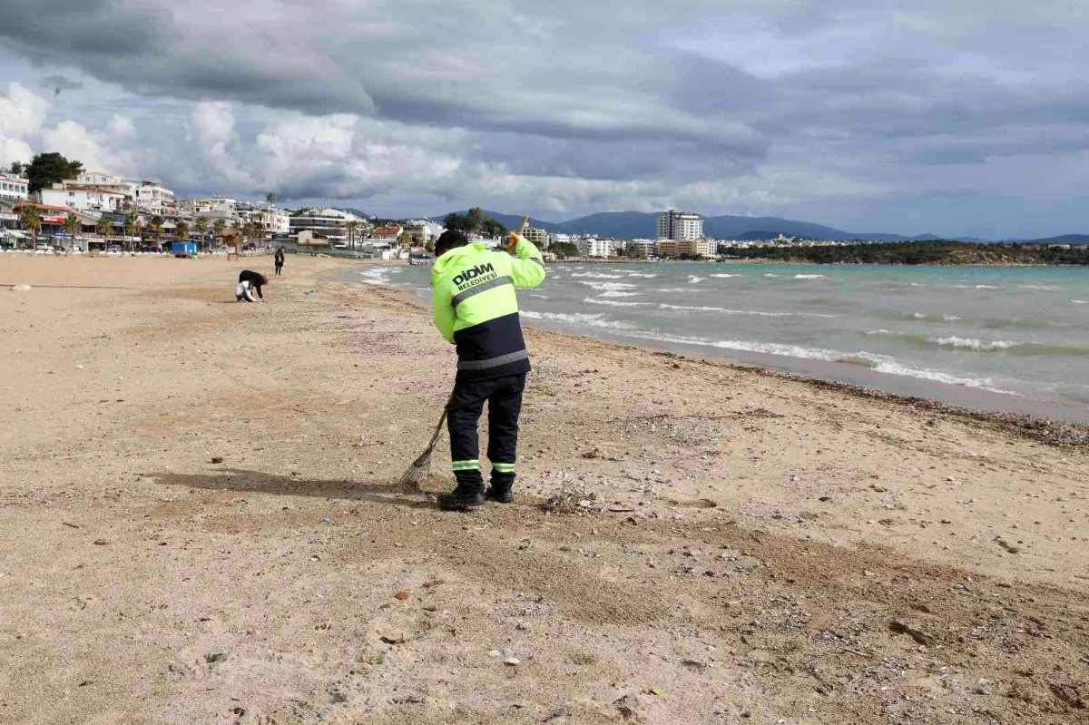 Didim\'de sahillerde temizlik çalışması yapıldı