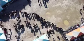 'Karadeniz Günleri'nde 1,5 ton hamsi ikramı