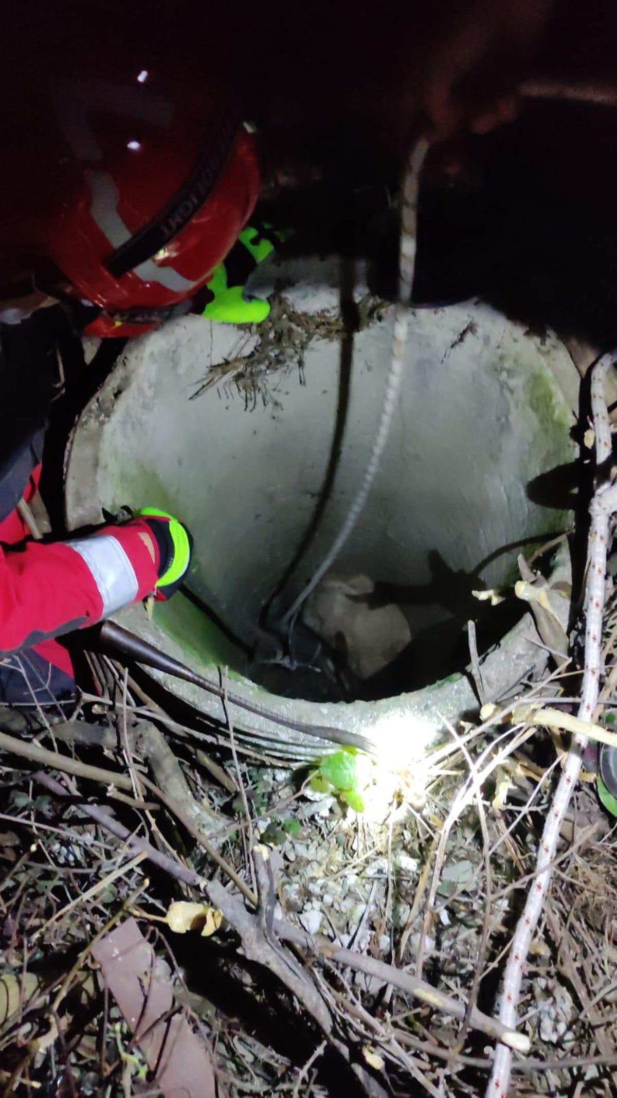 Muğla\'da beton büzün içinde sıkışan keçi kurtarıldı