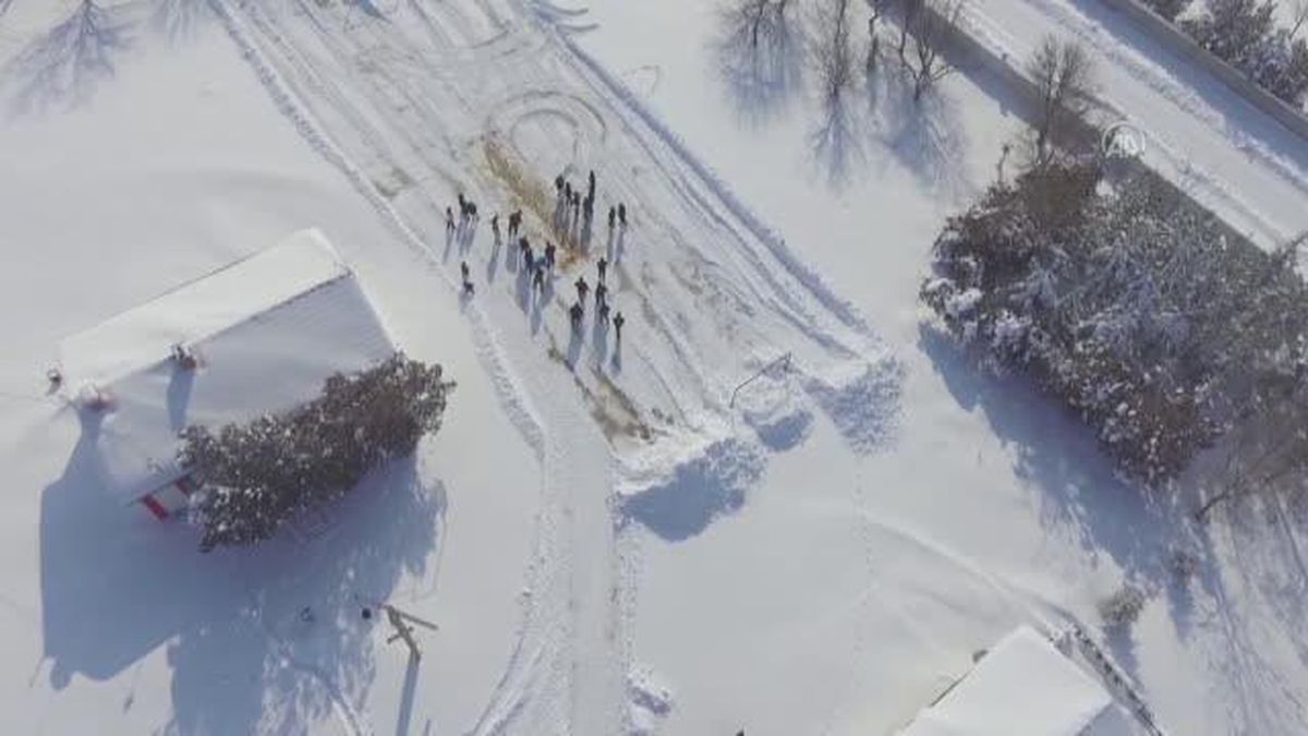 Öğrenci ve veliler sokak hayvanları için 'yem havuzu' oluşturdu