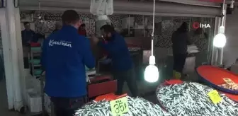 Bandırma Balık Hali'nde hamsi bolluğu