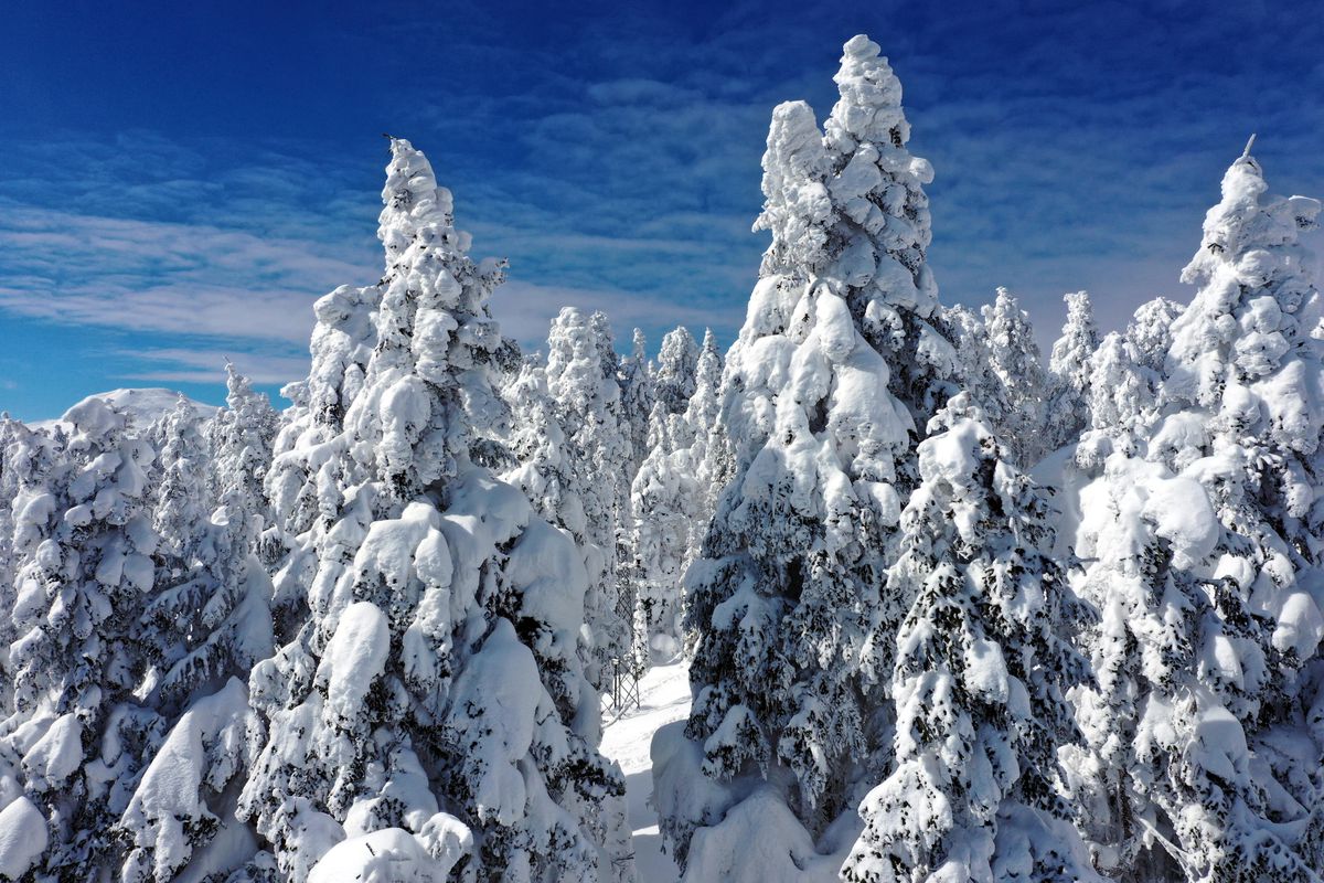 KASTAMONU - Ilgaz\'ın karlı zirvesi havadan görüntülendi
