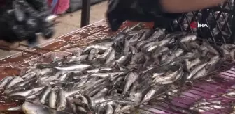 KKTC'de geleneksel Hamsi Festivali'nin 13'üncüsü düzenlendi