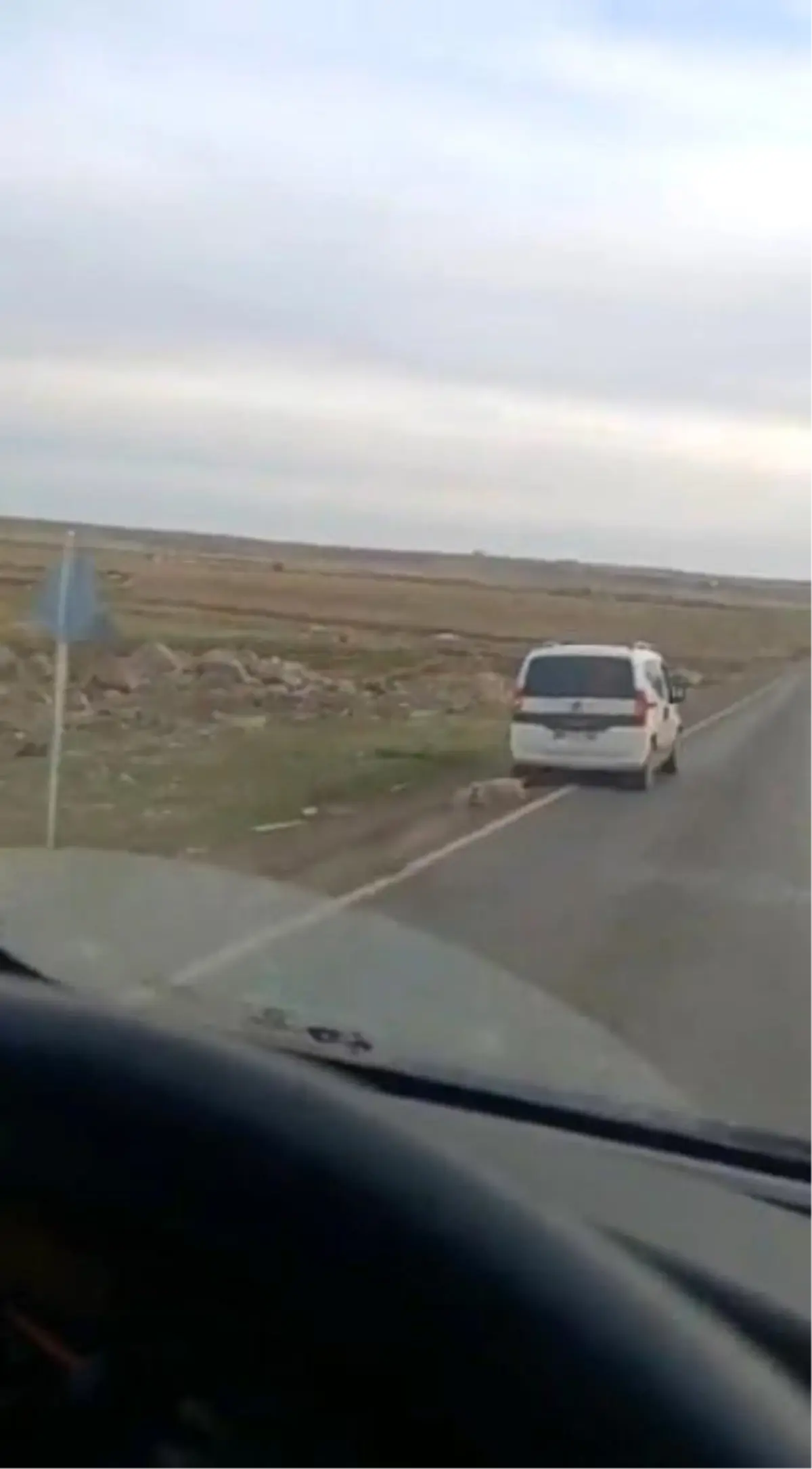 Aracın arkasına bağladıkları koyunu sürükleyerek götürdüler