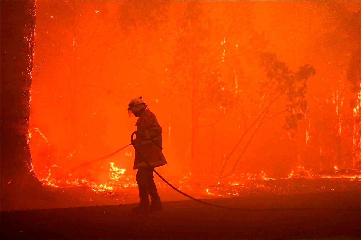 Avustralya\'da orman yangını: 60 bin hektar alan küle döndü