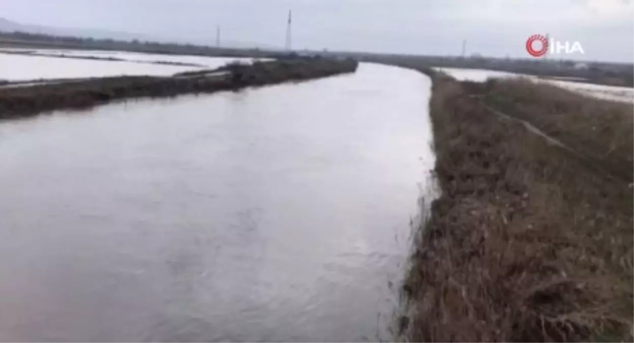 Ergene Nehri taştı, tarım arazileri sular altında kaldı