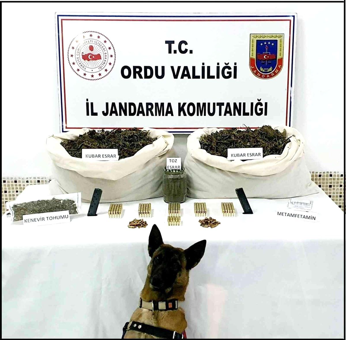 Ordu\'da uyuşturucu operasyonu