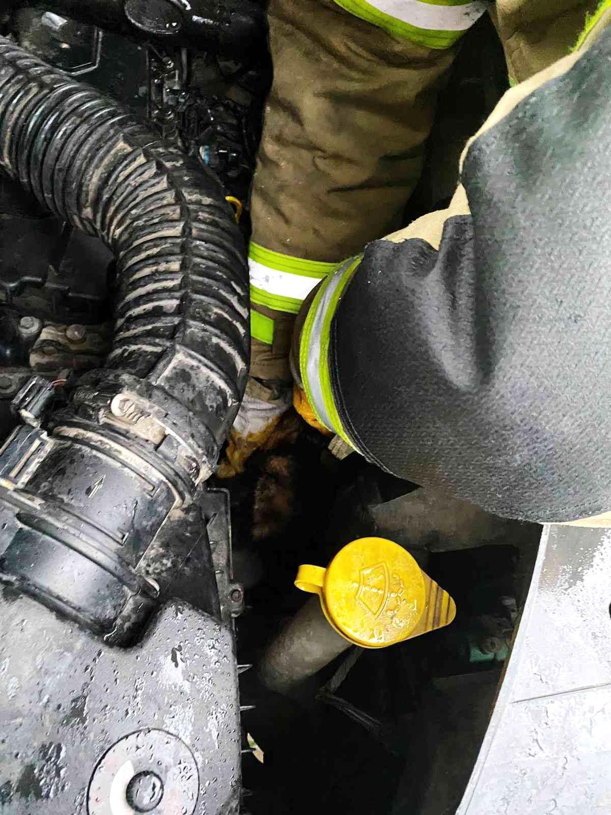 Araç motorunda mahsur kalan kediyi itfaiye kurtardı