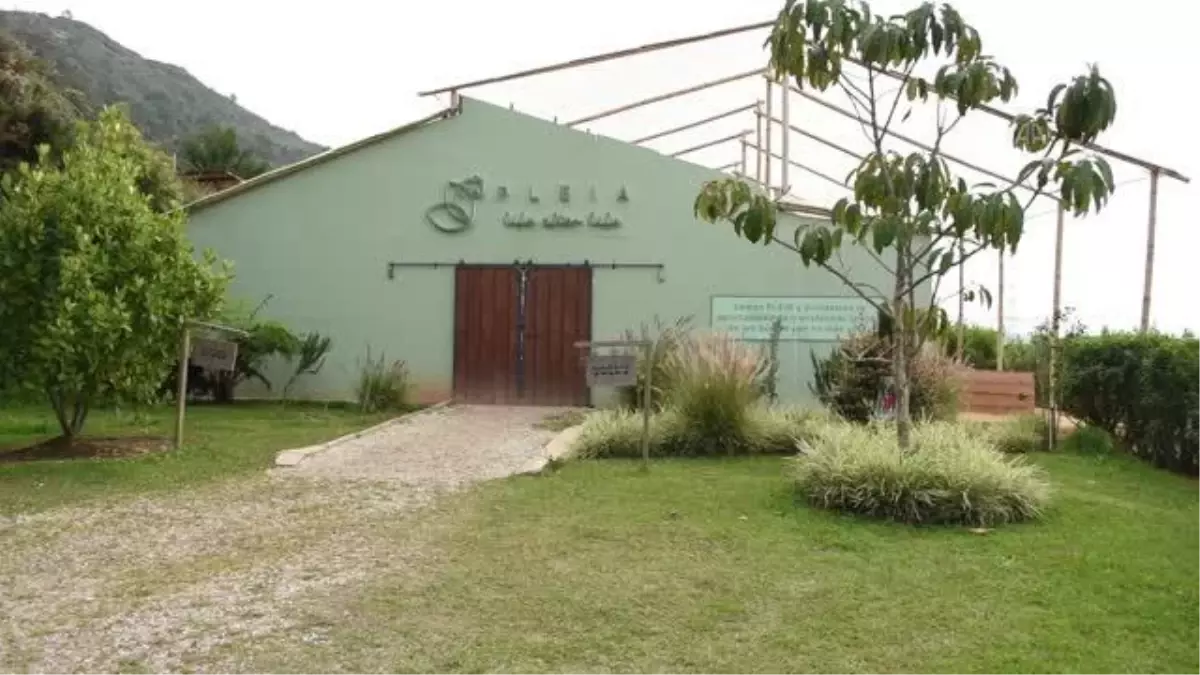 Biyoteknoloji firması evcil hayvanların ölümlerinden sonra vücutlarını bitki yaşam kaynaklarına dönüştürüyor