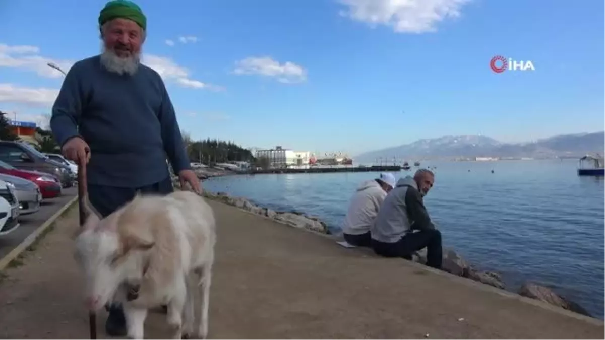 Her yere Nazlı adındaki keçisiyle giden Aydın Erol: 3 çocuğum öldü, Nazlı\'yı evladım gibi seviyorum