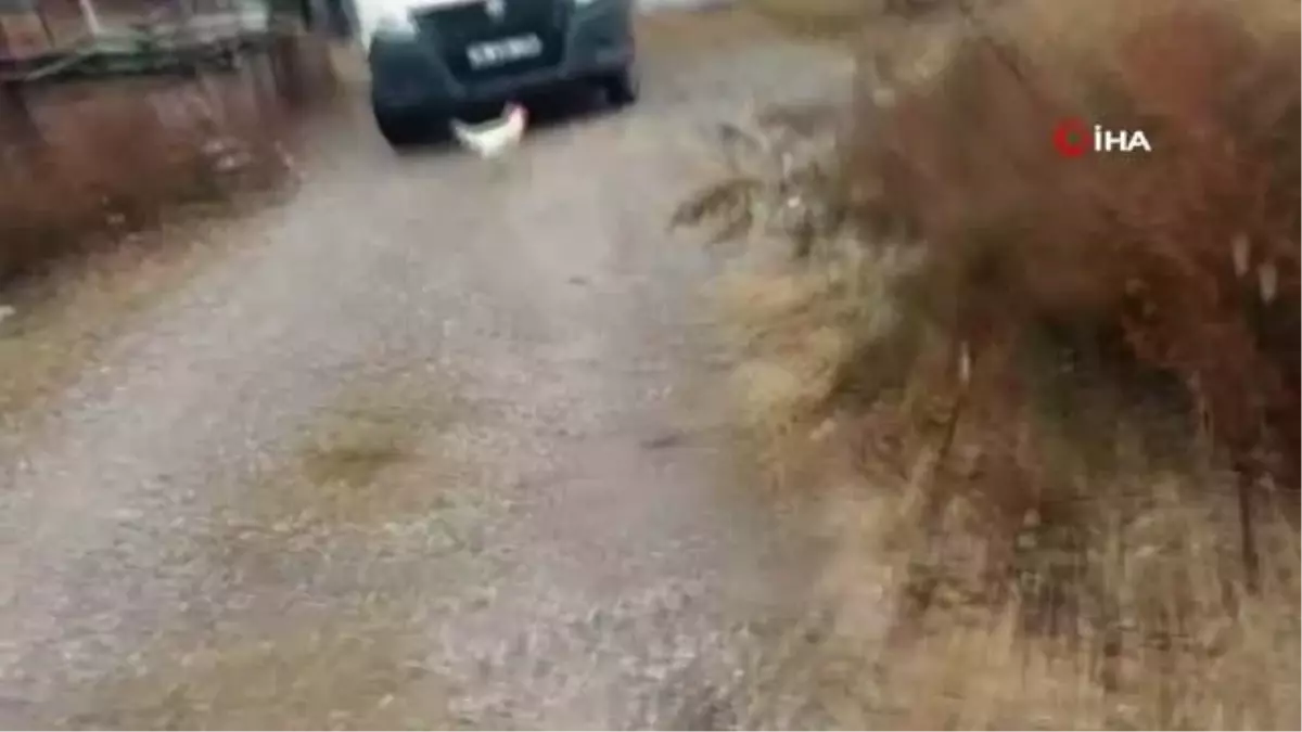 Çelik kasa hırsızları böyle yakalandı