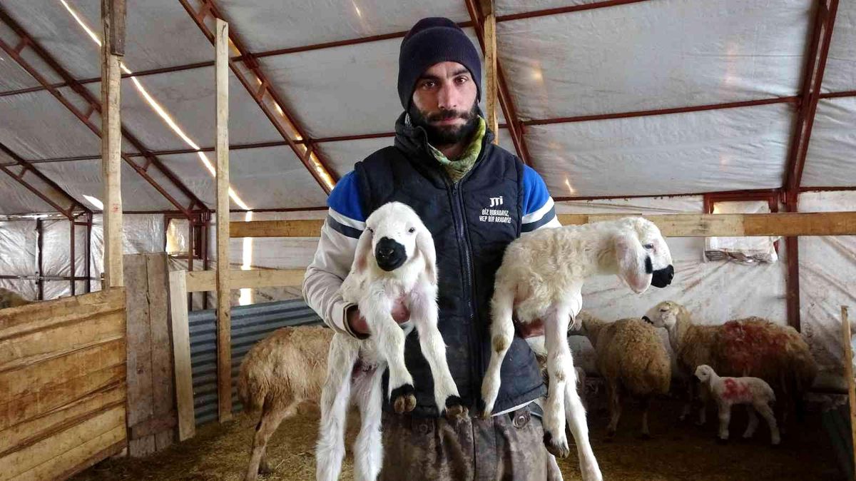 Çobanlık değere bindi, patronlar sürülerin başına geçip çoban oldu