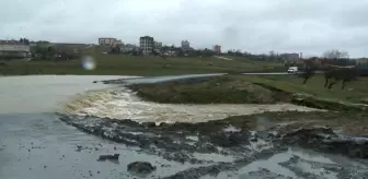 Arnavutköy'de dere taştı...Yol kullanılamaz hale geldi, ahırları su bastı